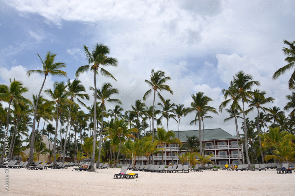Fototapeta premium Beach with palm trees and sun beds empty. Dominican Republic