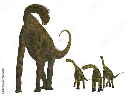 Atlasaurus Dinosaur with Babies -Atlasaurus was a large herbivorous dinosaur that lived in the Jurassic Period of Morocco  North Africa. 