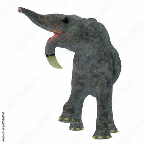 Deinotherium on White - Deinotherium was an enormous land mammal that lived in Asia, Africa and Europe during the Miocene to Pleistocene Periods.