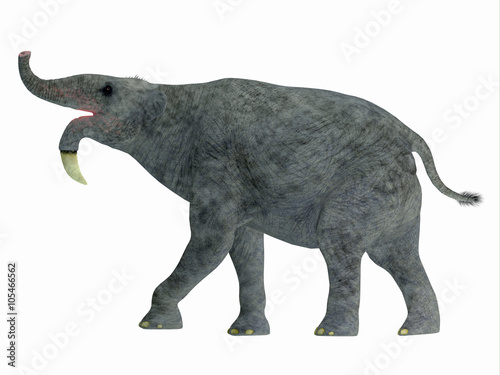 Deinotherium Side Profile - Deinotherium was an enormous land mammal that lived in Asia, Africa and Europe during the Miocene to Pleistocene Periods.