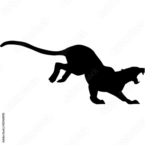puma with huge tusks