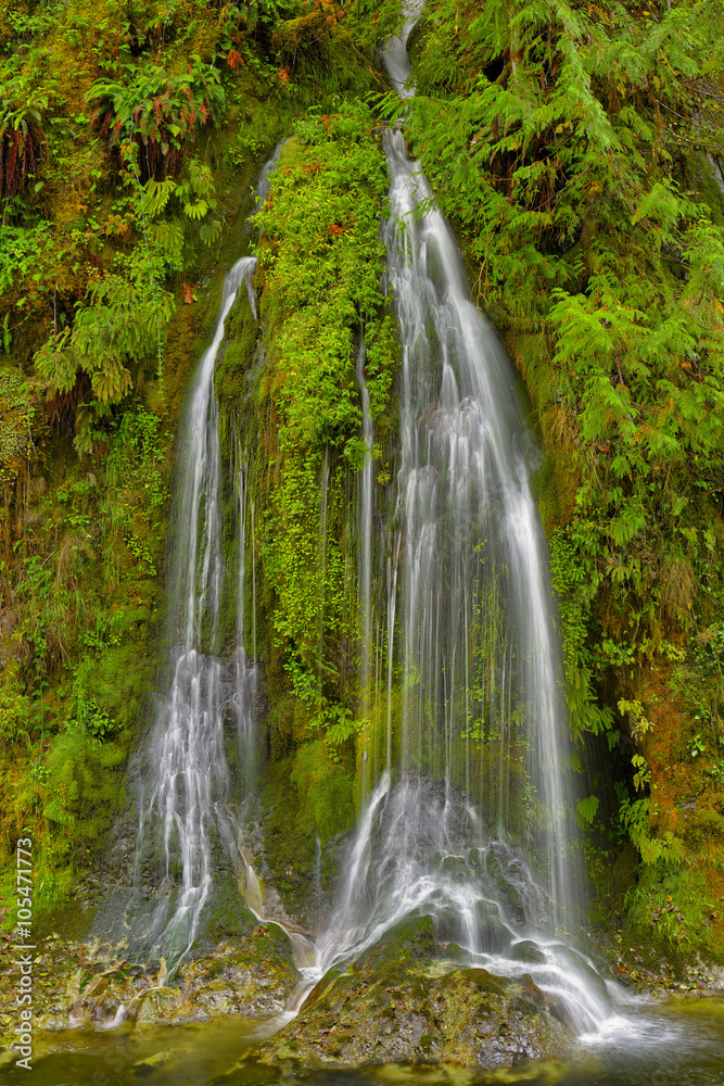 Obraz premium Salmon Creek Falls