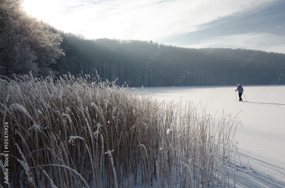 PRZYWIDZ,POLAND - CIRCA JANUARY 2015 - Panoramic view of female person cross-country skiing in beautiful nordic winter landscape in Przywidz Lake, Kaszuby region - obrazy, fototapety, plakaty 