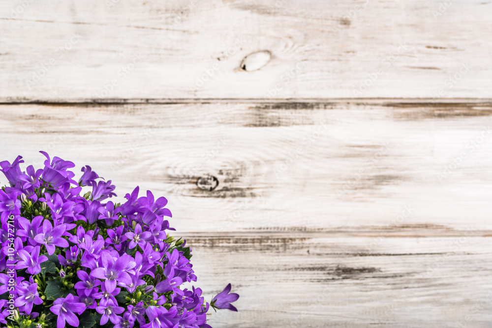 Obraz premium Spring flowers background with copy space.