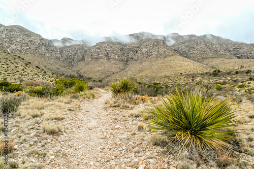 Gaudalupe Mountains Texas photo