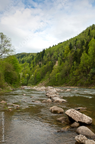 River in Carpathians mountains in spring