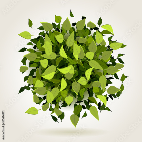 leaf bomb illustration