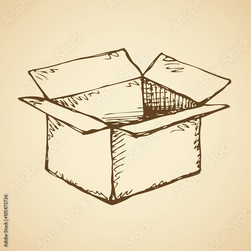 Cardboard box. Vector drawing