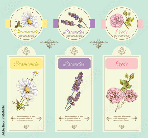 Vector vintage banners with wild flowers and medicinal herbs. Design for cosmetics, store, beauty salon, natural , organic health care products.