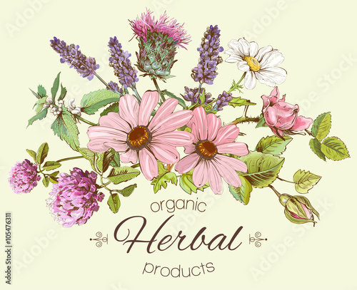 Vector vintage hand drawn composition with wild flowers and herbs. Design for cosmetics, store, beauty salon, herbal tea, natural and organic products. Can be used like a greeting card.
