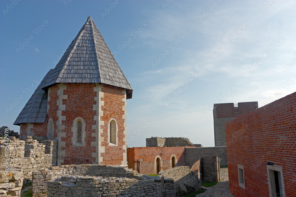 Fototapeta premium Medvedgrad, castle