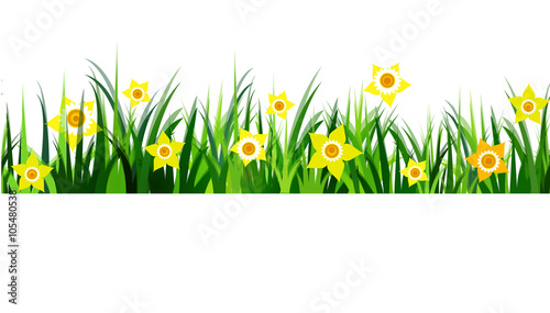  Green Grass seamless daffodils