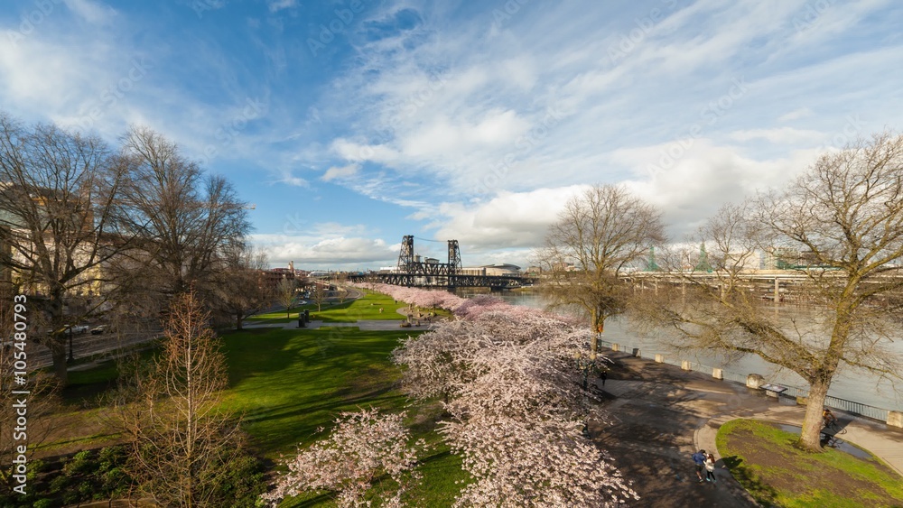 Tme lapse movie of foot traffic freeway traffic and white clouds over downtown city of Portland Oregon along Willamette River with Sakura Cherry Blossom Trees blooming one Spring day 4k Uhd Tme lapse movie of foot traffic freeway traffic and white clouds over downtown city of Portland Oregon along Willamette River with Sakura Cherry Blossom Trees blooming one Spring day 4k Uhd