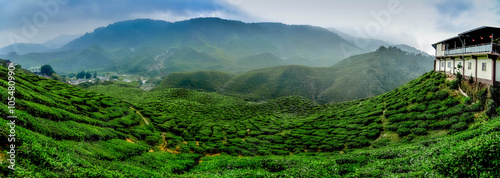wide view the beautiful tea plantation at Cameron Highland, Malaysia. Hill curve and slope with fog, cloudy sky with cropped image restaurant. photo