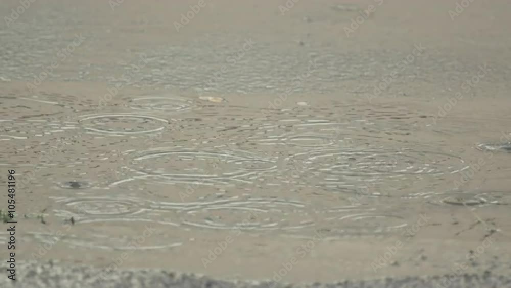 SLOW MOTION CLOSE UP: Raindrops falling into puddle on the pavement, creating bubbles and circles SLOW MOTION CLOSE UP: Raindrops falling into puddle on the pavement, creating bubbles and circles