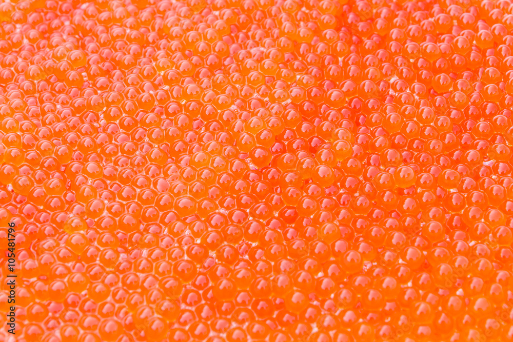 Fototapeta premium Fresh red Caviar background; Trout roe texture