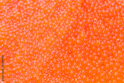 Fresh red Caviar background; Trout roe texture