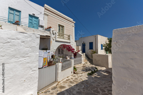 white houses with flowers in town of Parakia, Paros island, Cyclades, Greece photo