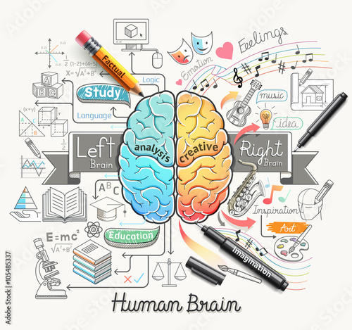 Human brain diagram doodles icons style. 