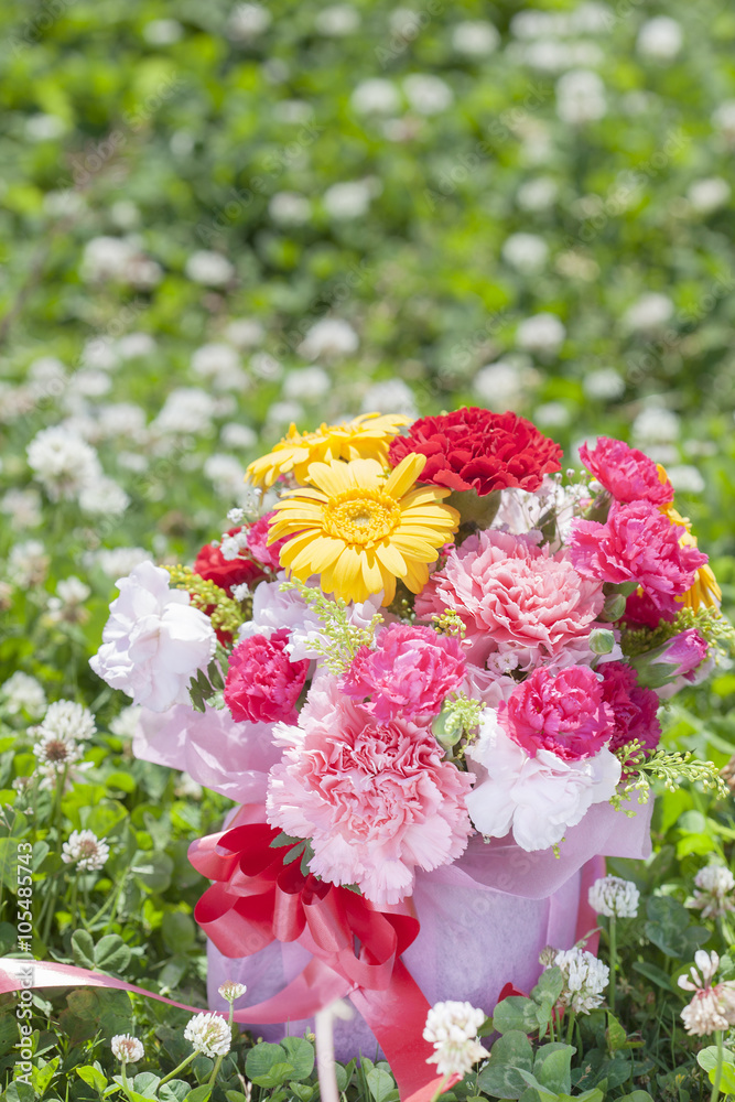 custom made wallpaper toronto digitalカーネーションの花束　屋外