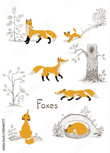 Set of foxes with simple sketches of the forest. Vector background.