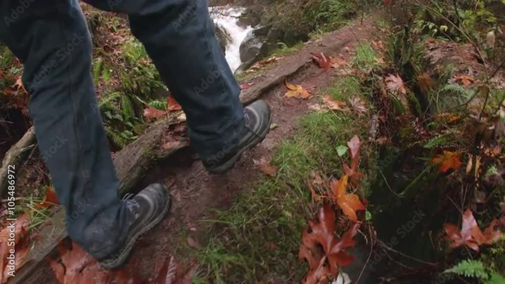 POV Low Angle of Hiker Boots Walking Across Downed Tree Looking at Raging Canyon River Waterfall in Pacific Northwest Mountain Forest POV Low Angle of Hiker Boots Walking Across Downed Tree Looking at Raging Canyon River Waterfall in Pacific Northwest Mountain Forest