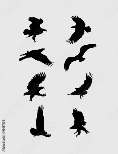Eagle Flying Silhouette, art vector design