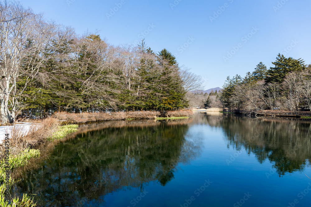 Water pond in karuizawa
