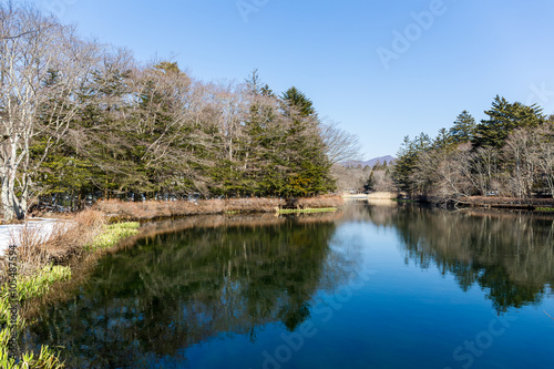 Fototapeta Naklejka Na Ścianę i Meble -  Water pond in karuizawa