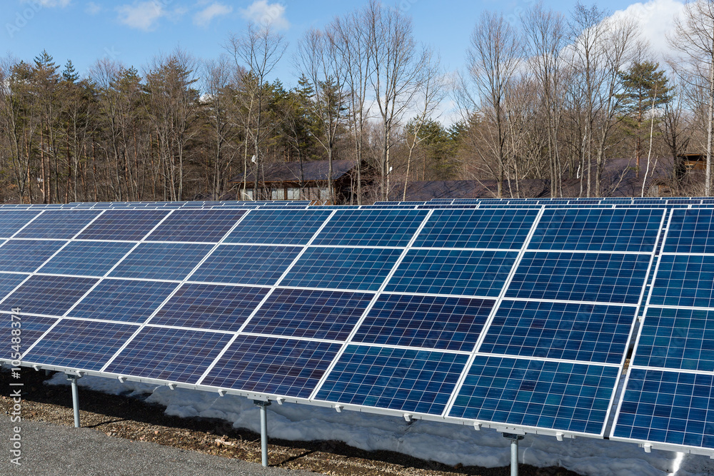 Solar panel in forest