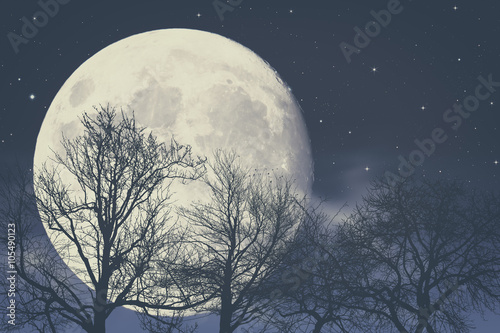 Canvas Print Under Moon light, abstract fantasy backgrounds