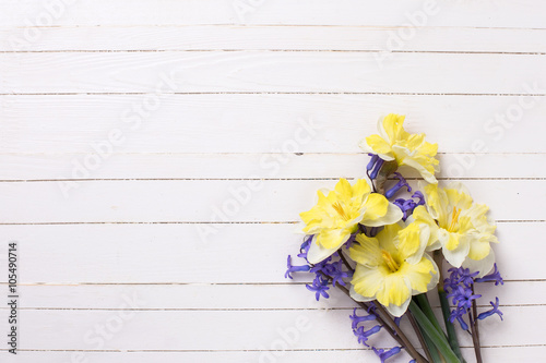Bright yellow and blue spring flowers on white painted wood