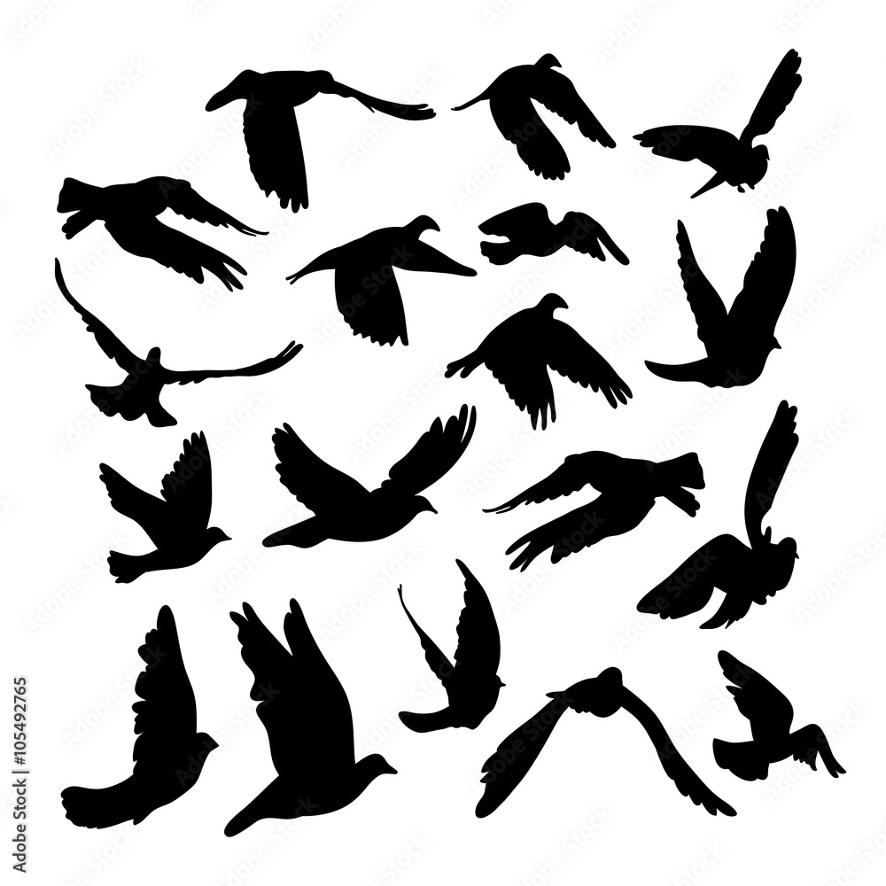 Obraz premium Doves and pigeons set for peace concept and wedding design. Flying dove sketch set.