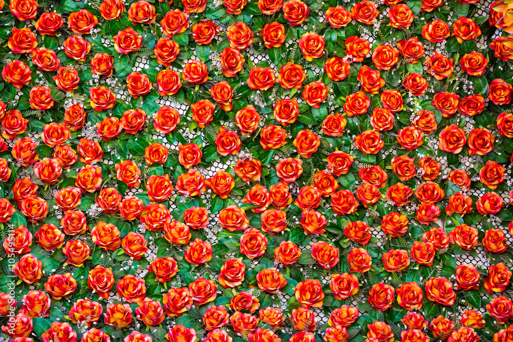 pattern of red roses