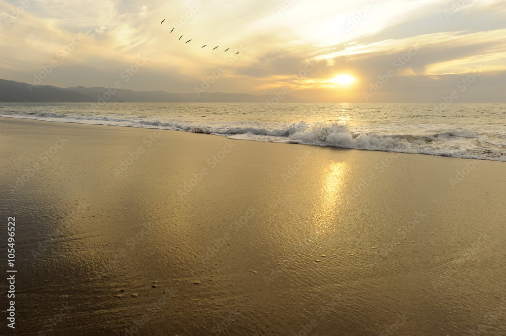 Ocean Sunset Birds