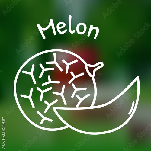 Thin line melon icon