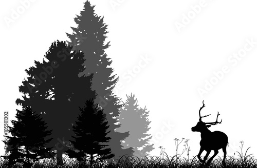 black deer running to fir forest isolated on white © Alexander Potapov