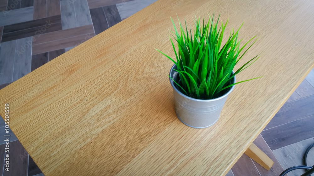Little Green tree pots decoration on light brown wooden table Little Green tree pots decoration on light brown wooden table
