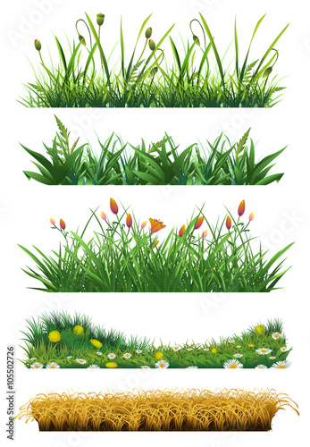 Grass set of vector elements.