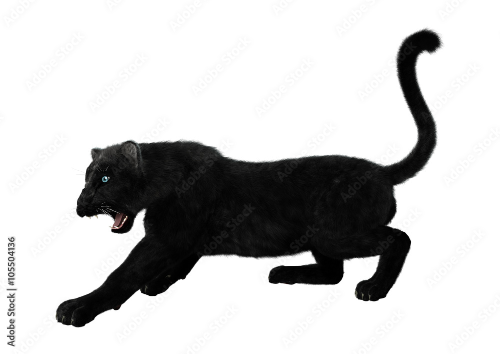 Black Panther on White