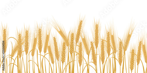 Ears of wheat horizontal border seamless pattern