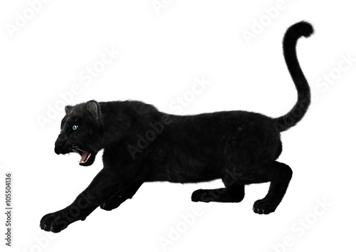 Black Panther on White