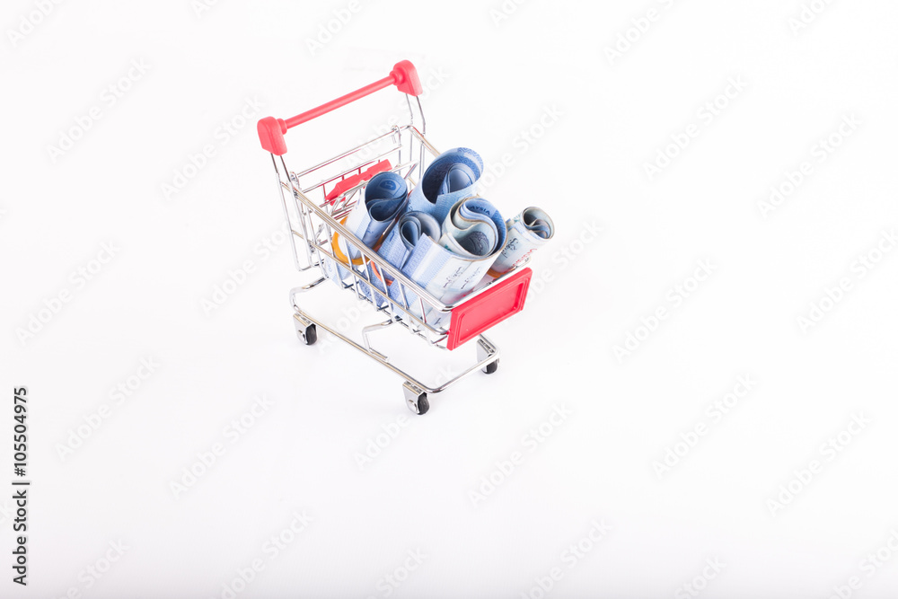 sjopping trolley bring money with white background sjopping trolley bring money with white background