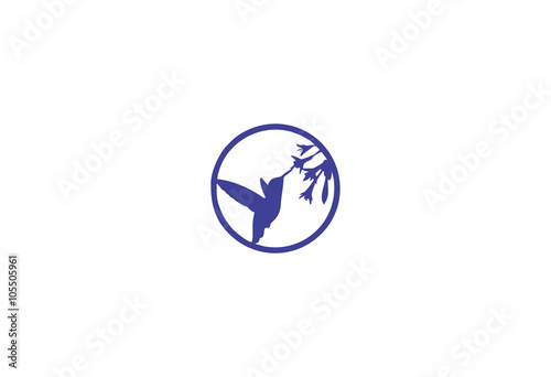 hummingbird and flowers background logo
