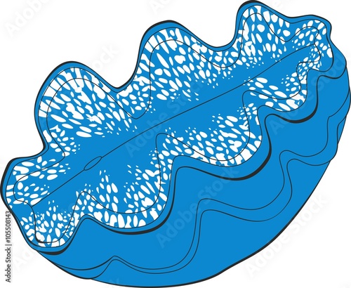 Blue Tridacna