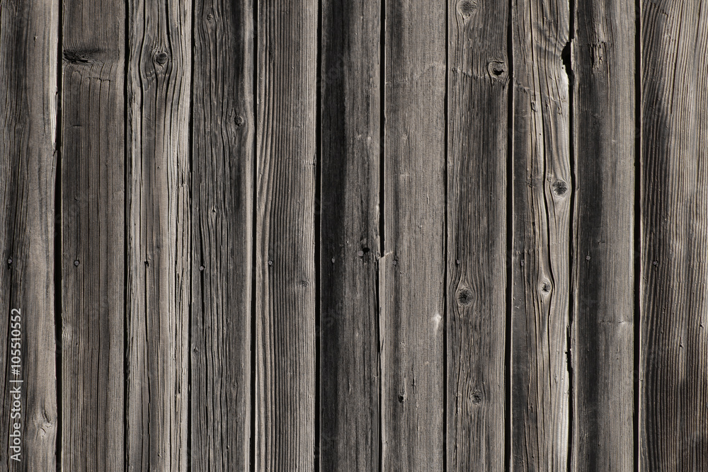 Fototapeta premium Wood Texture