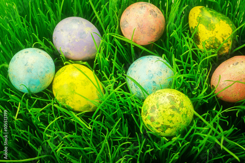 Easter eggs in grass 