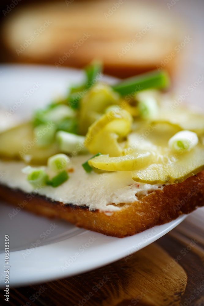 Vegetarian sandwich with cheese, pickles and herbs Vegetarian sandwich with cheese, pickles and herbs