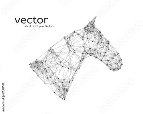 Abstract vector illustration of horse head photo