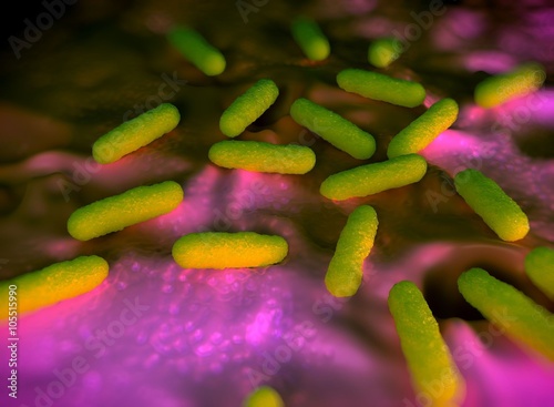 bacteria photo